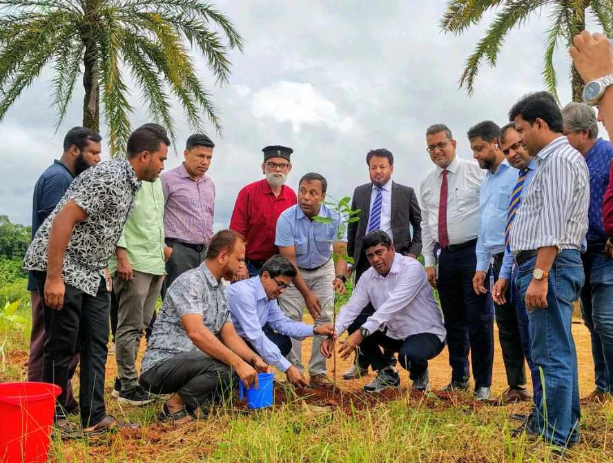 কুবিতে ব্র্যাক ব্যাংকের সহায়তায় ৩৫০০ দুর্লভ প্রজাতির গাছের চারা রোপণ