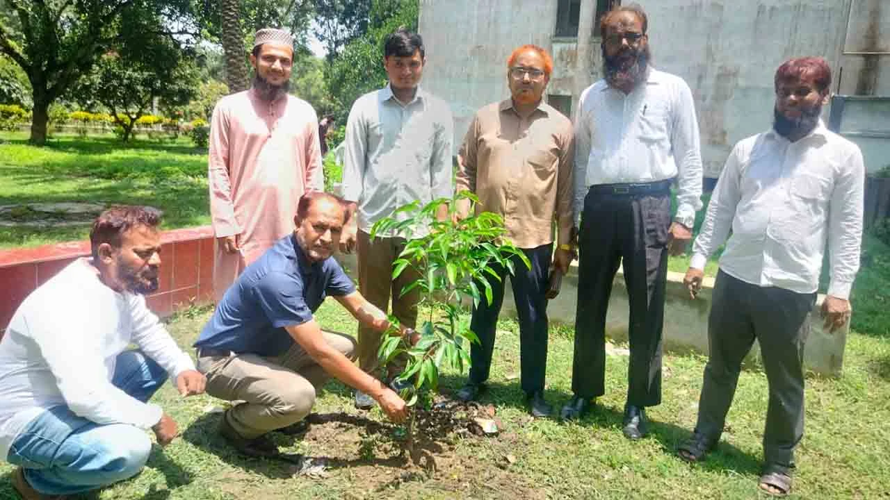 ইসলামী শিক্ষা দিবস উপলক্ষে ইবিতে ছাত্রশিবিরের বৃক্ষরোপণ কর্মসূচি