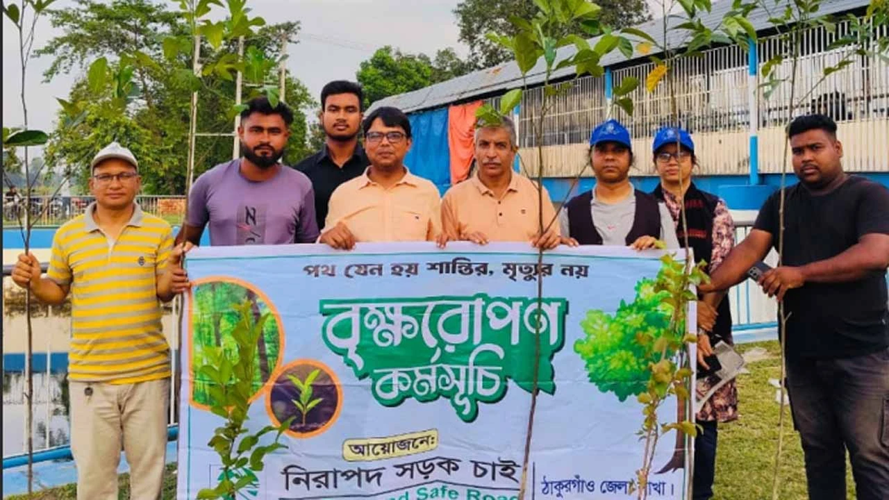 ঠাকুরগাঁওয়ে নিরাপদ সড়ক চাই’র পক্ষ থেকে বৃক্ষরোপণ কর্মসূচী