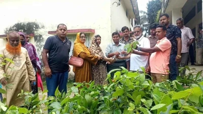 বিএনপির প্রতিষ্ঠাবার্ষিকীতে ভালুকায় চারা ও চেক বিতরণ, দুর্ঘটনায় নিহতদের পরিবারের তথ্য যাচাই
