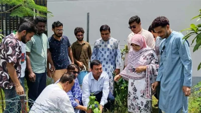 নলছিটিতে ছাত্রদল নেতা বাপ্পি ও সুপ্রিম খানের নেতৃত্বে বৃক্ষরোপন অভিযান