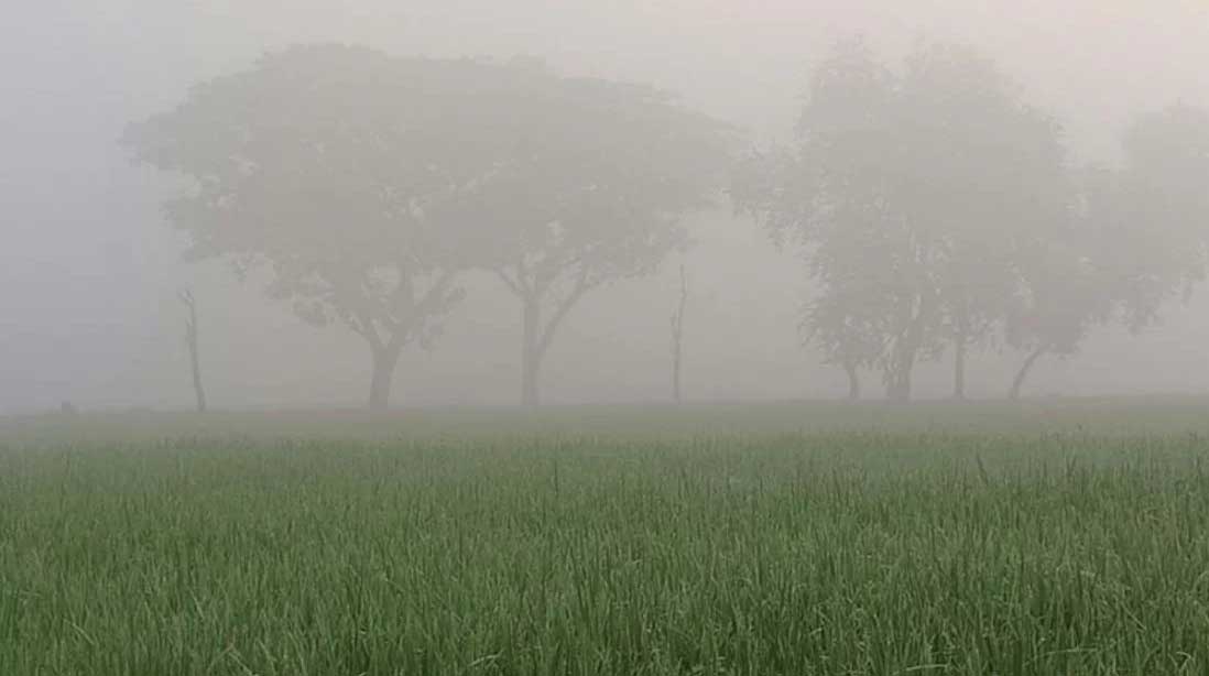 দিনাজপুরে হিম হাওয়ায় কনকনে শীত অনুভূত