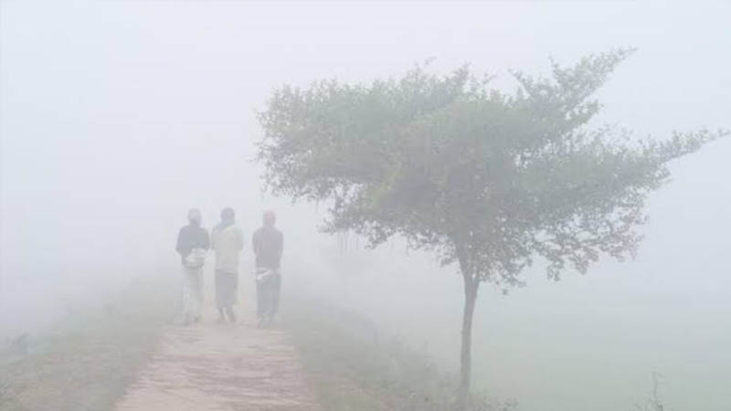 শৈত্যপ্রবাহ বইছে ১৭ জেলায়