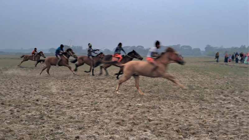 কটিয়াদীতে ঐতিহ্যবাহী ঘোড়দৌড় দেখতে হাজারো মানুষের ভিড়