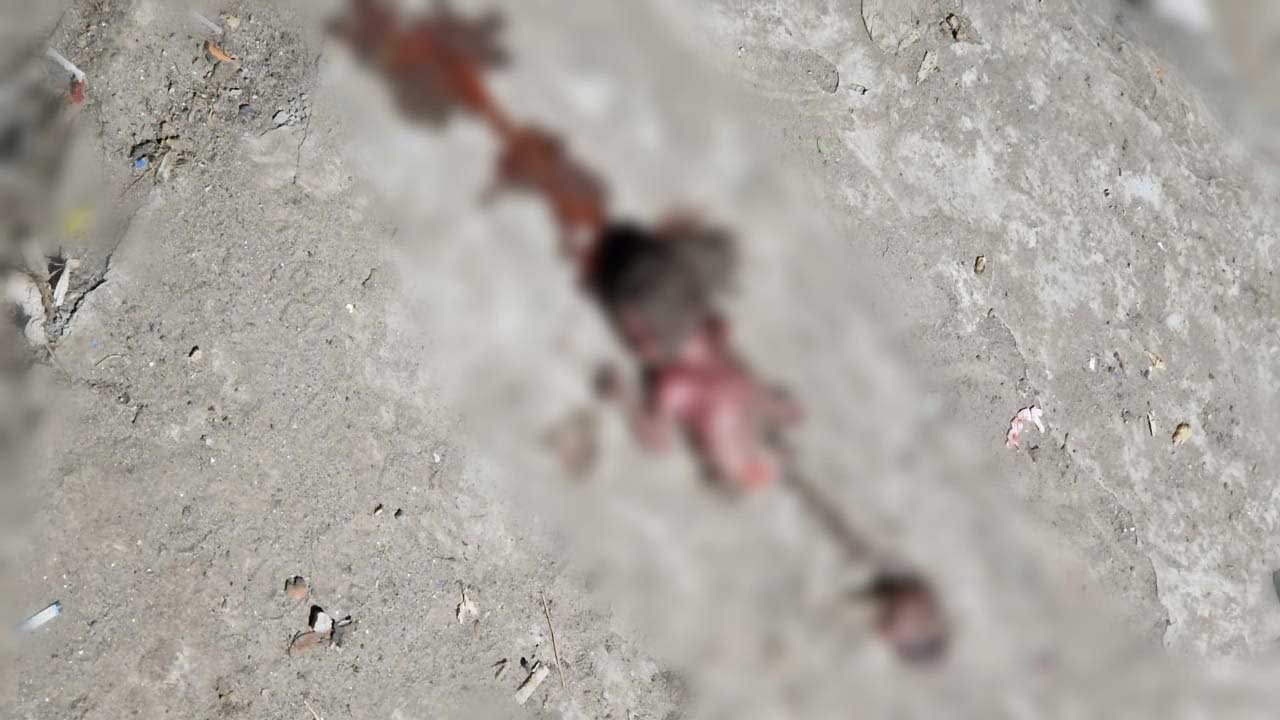 টঙ্গী সরকারি হাসপাতালের ডাস্টবিনে মিলল সাত মাসের নবজাতকের মরদেহ
