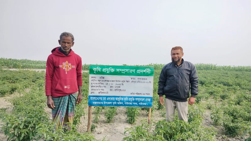 গাইবান্ধায় আধুনিক কৃষি প্রযুক্তির সুফল পাচ্ছে চরাঞ্চলের কৃষকরা