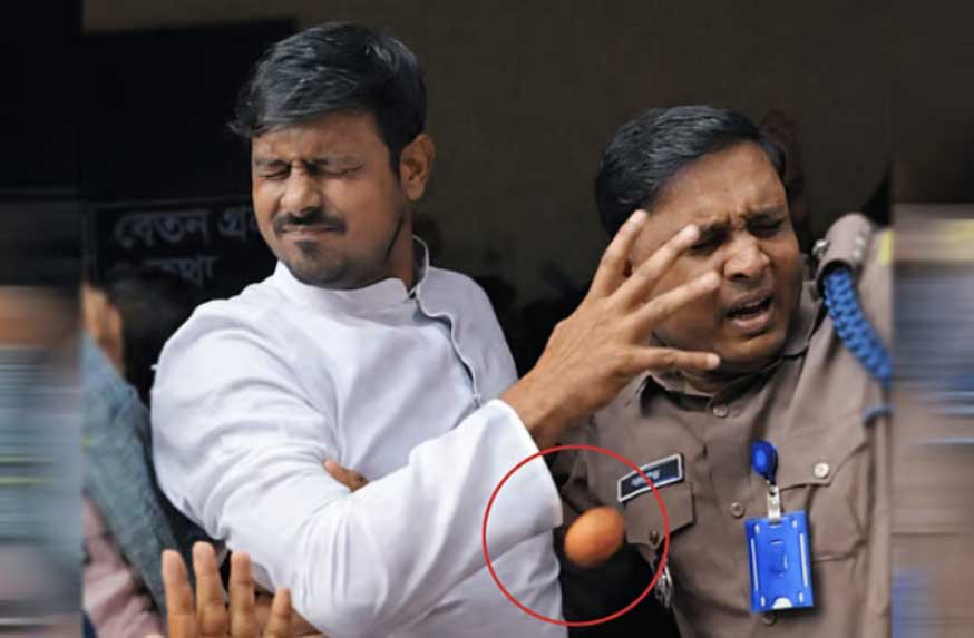 নাসীরুদ্দীন পাটওয়ারীকে ডিম নিক্ষেপ, বিএনপির বিরুদ্ধে অভিযোগ নাহিদের