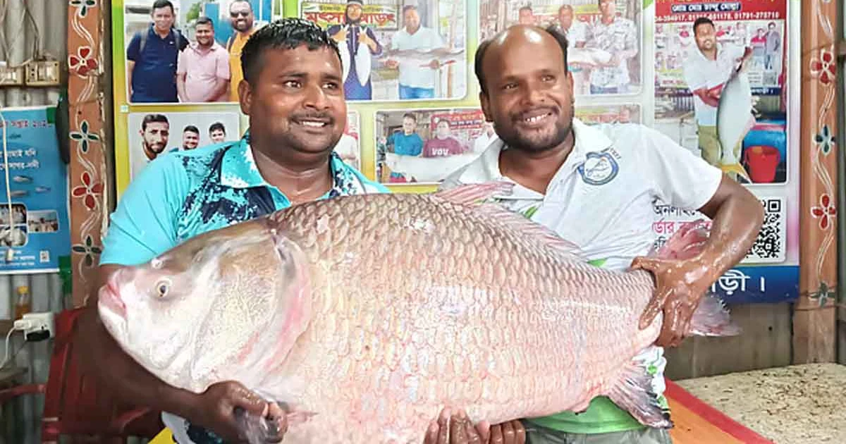 দুটি মাছের দামই ১ লাখ ১৩ হাজার টাকা, ওজন কত