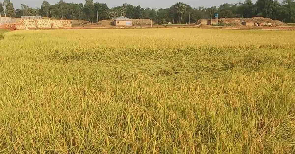 মহাদেবপুরে ইটভাটা মালিকের বিরুদ্ধে ফেসবুকে অপপ্রচার