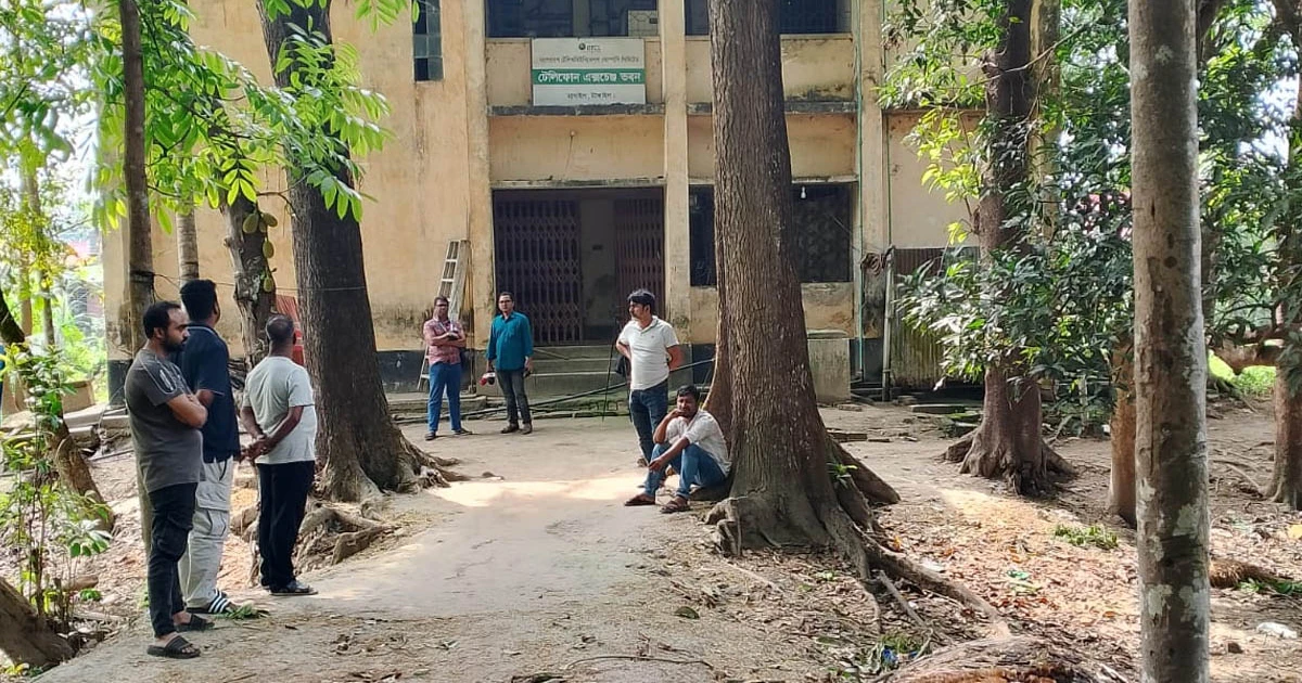 বাসাইলে দায়িত্বরত টিএন্ডটি লাইনম্যান শামীমের বিরুদ্ধে সরকারী টাকা আত্মসাৎসহ নানা অনিয়মের অভিযোগ