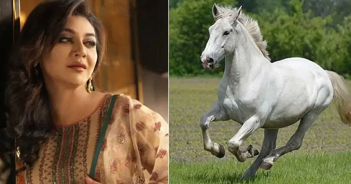 জনস্বার্থে আদালতের দ্বারস্থ জয়া আহসান