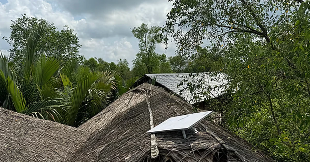 গহীন সুন্দরবনে ইলন মাস্কের স্টারলিংক ইন্টারনেট
