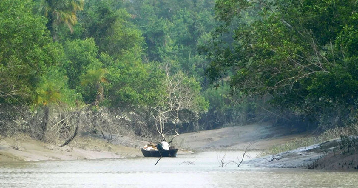সুন্দরবন প্রবেশে নিষেধাজ্ঞা