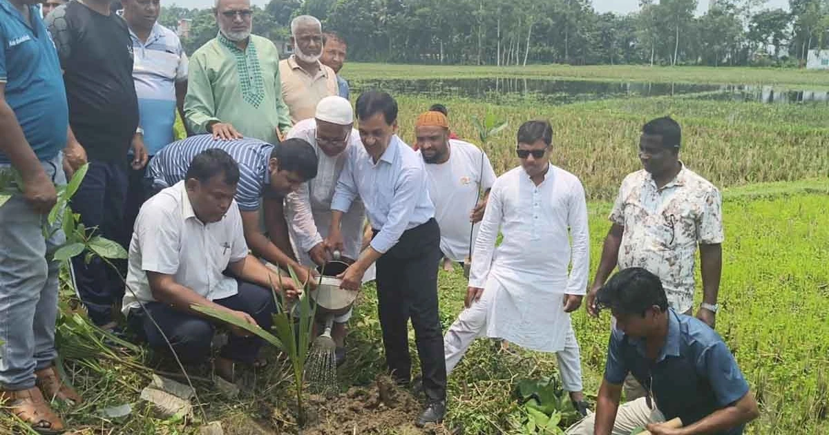 জীবনের জন্যই গাছ লাগাতে হবে : নওগাঁয় এমপি জাহিদুল ইসলাম ধলু