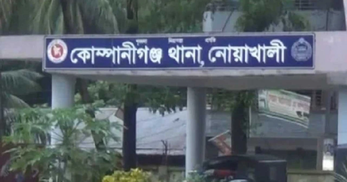 নোয়াখালীতে টিন কেটে ঘরে ঢুকে গৃহবধূকে ধর্ষণ, আটক-১