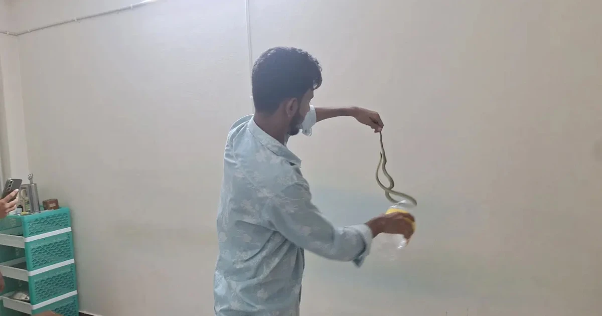 এবার এসির ভেতর থেকে বেরিয়ে এলো কালনাগিনী