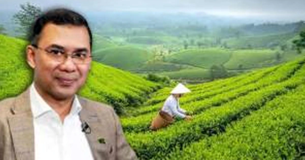 সিলেটে প্রধানমন্ত্রী, আর সড়কে নেতাকর্মী ও চা শ্রমিকরা