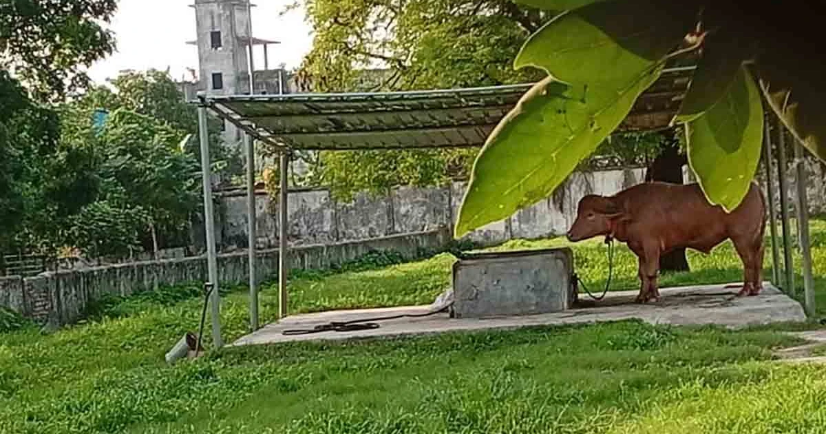 গবেষণার জন্য যেখানে নেওয়া হলো ‘ডোনাল্ড ট্রাম্প'কে