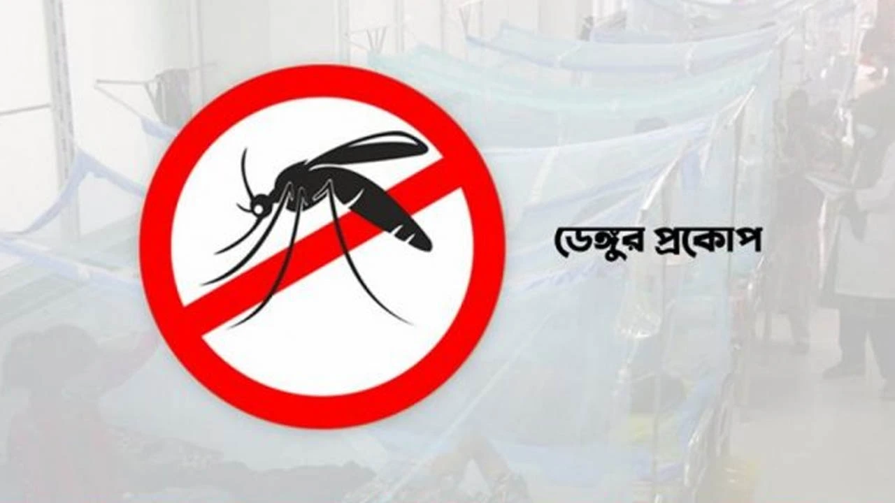 হামের পর এবার ডেঙ্গুর হানা, একদিনেই ৫ প্রাণহানি