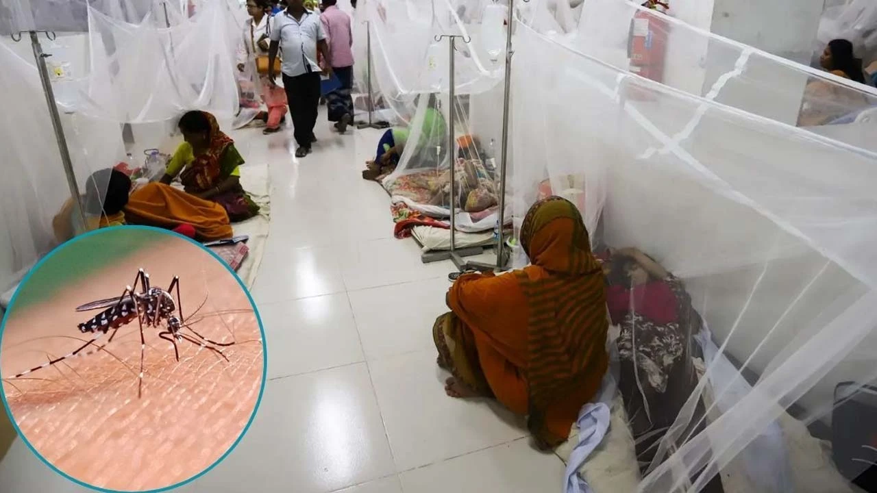 নতুন আতঙ্ক ডেঙ্গুর প্রকোপ নিয়ে শুরু হলো জুলাই