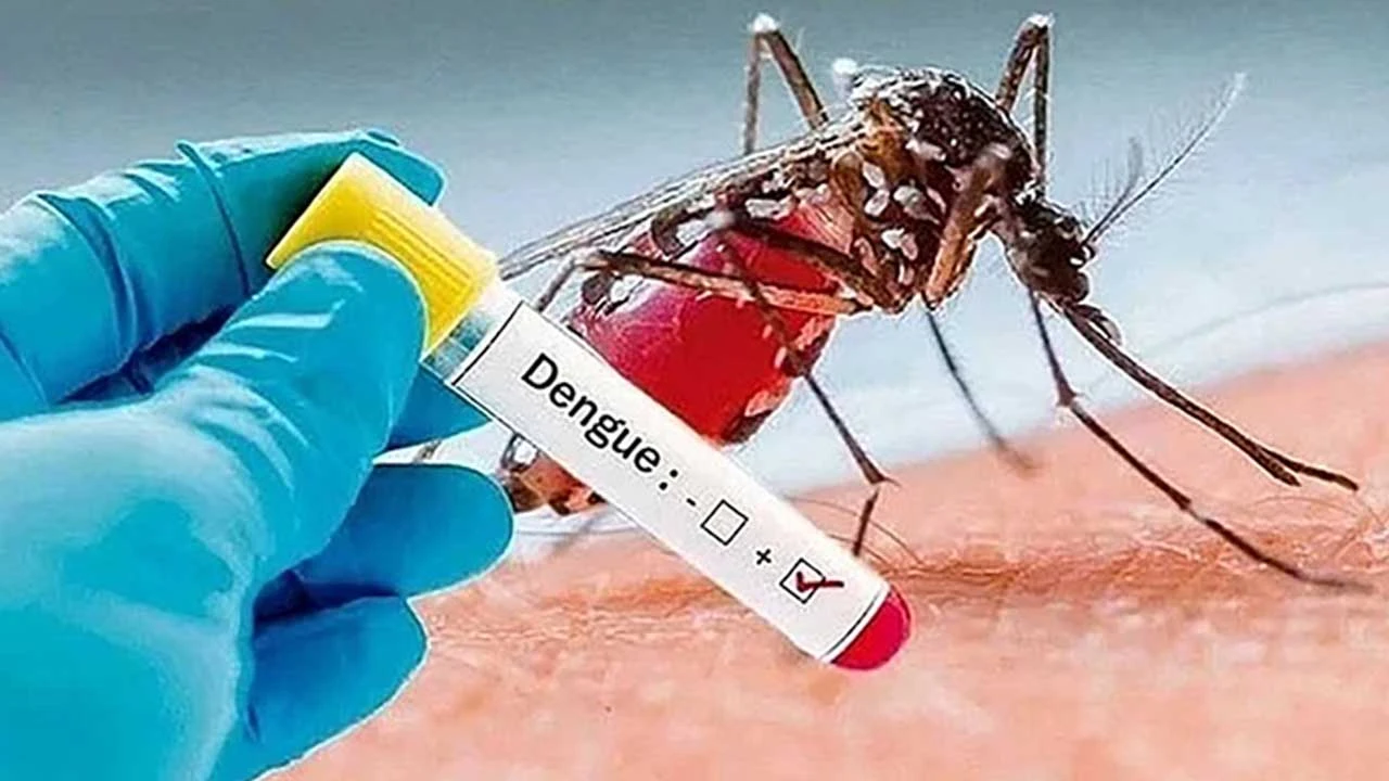 ডেঙ্গুতে আরও ২ জনের মৃত্যু, নতুন আক্রান্ত ৩২৭