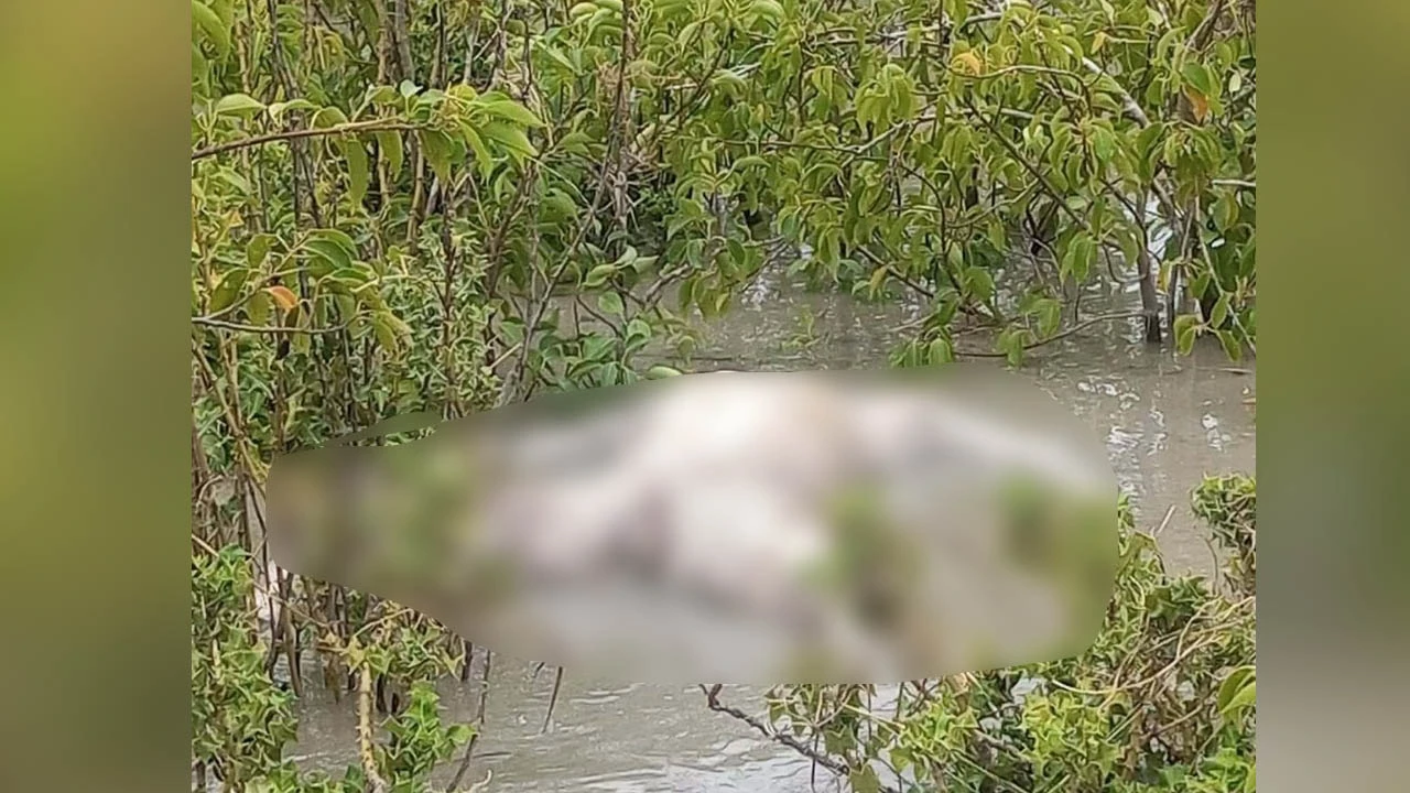 হাতিয়াতে জোয়ারে ভেসে আসা মরদেহ পড়ে রইল কেওড়া বাগানে