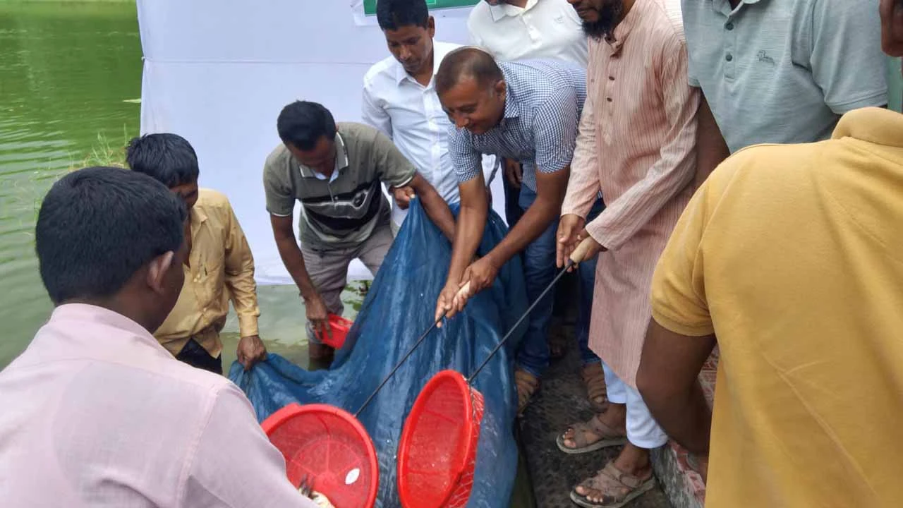 ঠাকুরগাঁওয়ে জাতীয়তাবাদী দলের ৪৮ চল্লিশ তম প্রতিষ্ঠা বার্ষিকী উপলক্ষে মাছের পোনা অবমুক্তকরণ