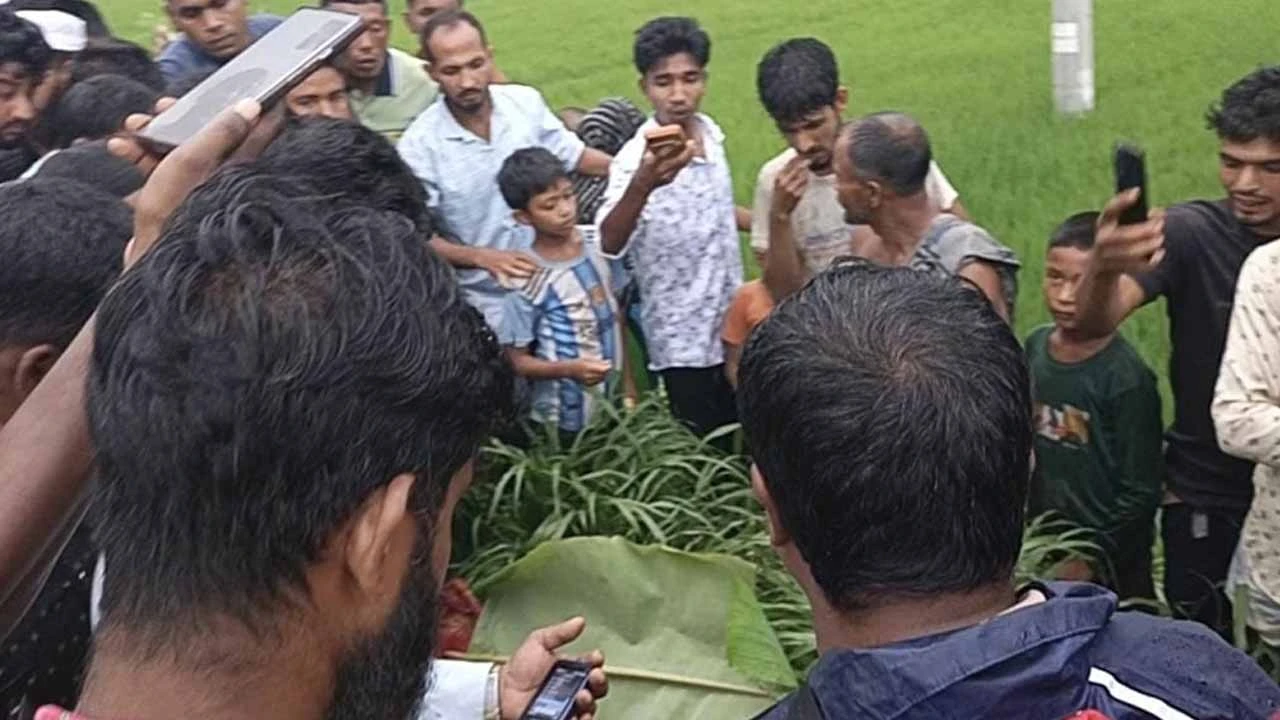 শ্বশুর বাড়ি যাওয়ার পথে সড়কে ঝড়ল নব দম্পতির প্রাণ