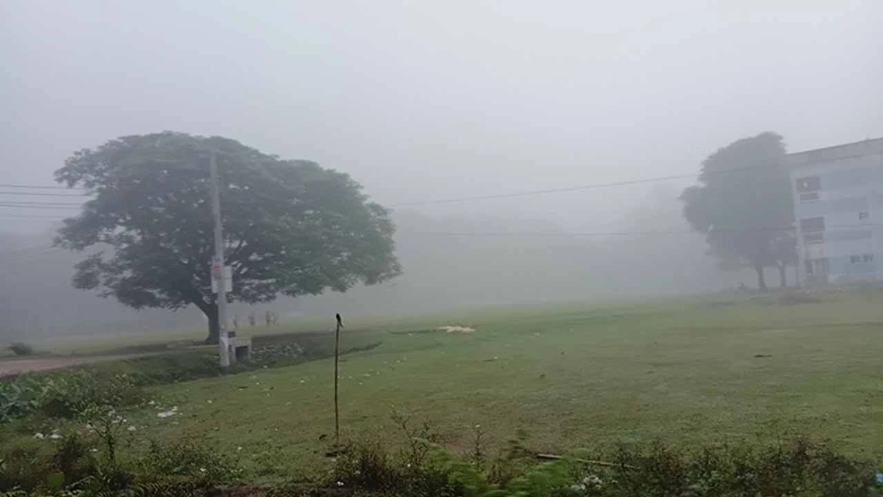 হিমেল বাতাস-ঘনকুয়াশায় উঁকি দিচ্ছে শীত