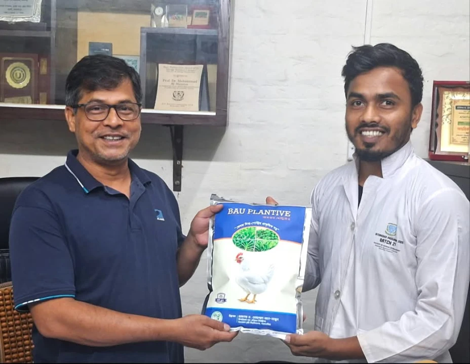 প্ল্যানটেইন থেকে ‘বাউ-প্লান্টিভ’, নিরাপদ ব্রয়লার মাংস উৎপাদনে বাকৃবির গবেষণা