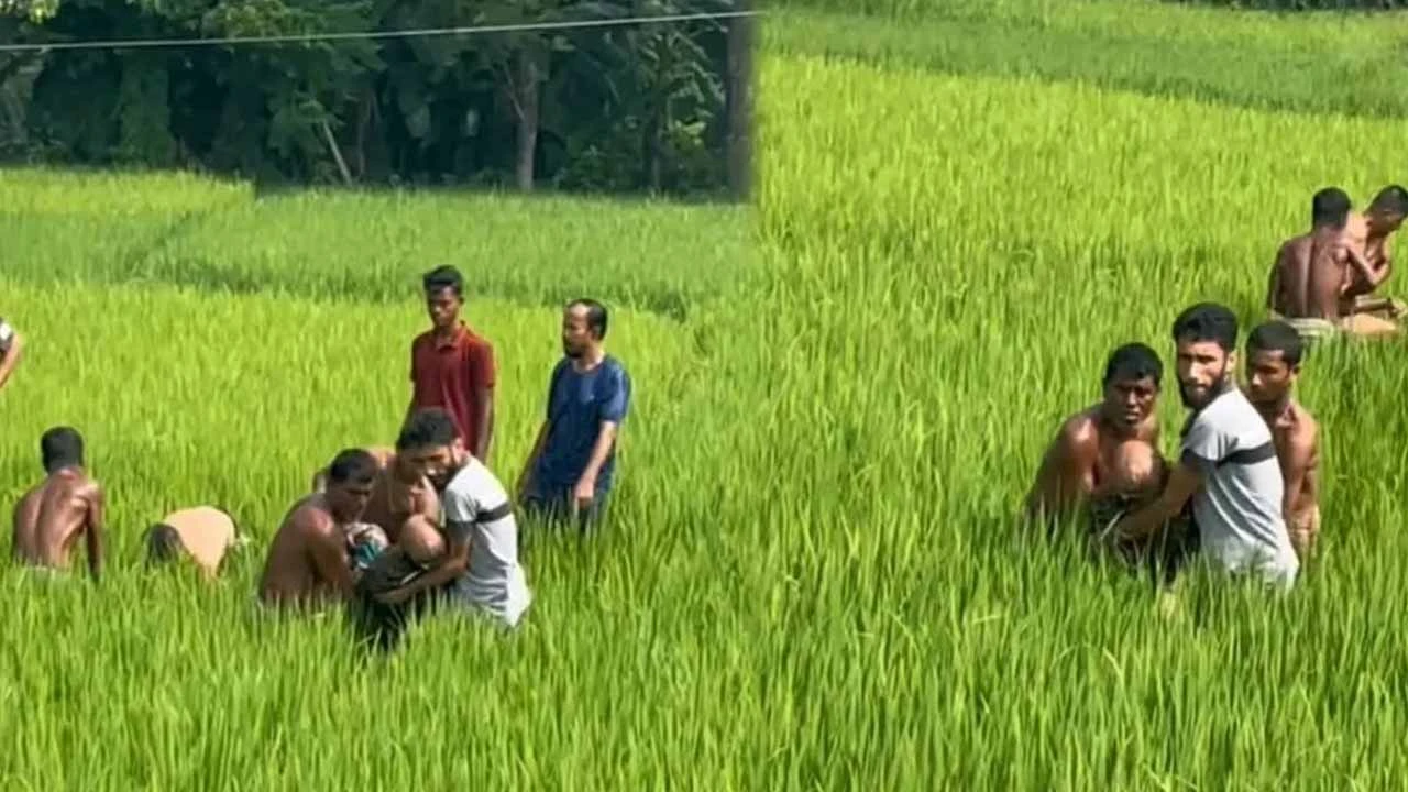 একজনকে বাঁচাতে গিয়ে আরেকজন, ভালুকায় ছেঁড়া বিদ্যুতের তারে প্রাণ গেল দুই চাচাতো ভাইয়ের