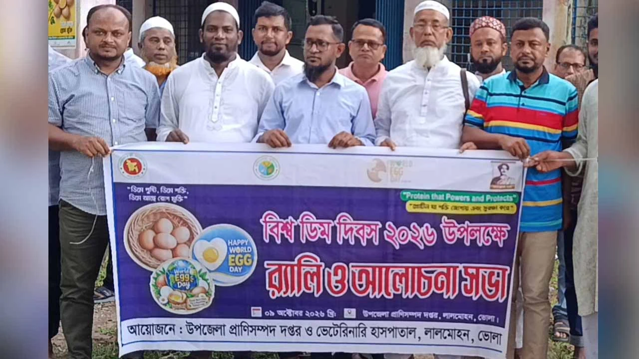 লালমোহনে বিশ্ব ডিম দিবস উপলক্ষে র‍্যালি ও আলোচনা সভা অনুষ্ঠিত