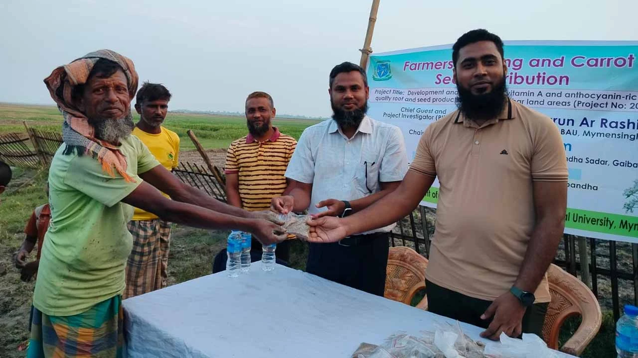 গাজর চাষে সম্ভাবনার দ্বার খুলবে গাইবান্ধার কামারজানির প্রান্তিক কৃষকের