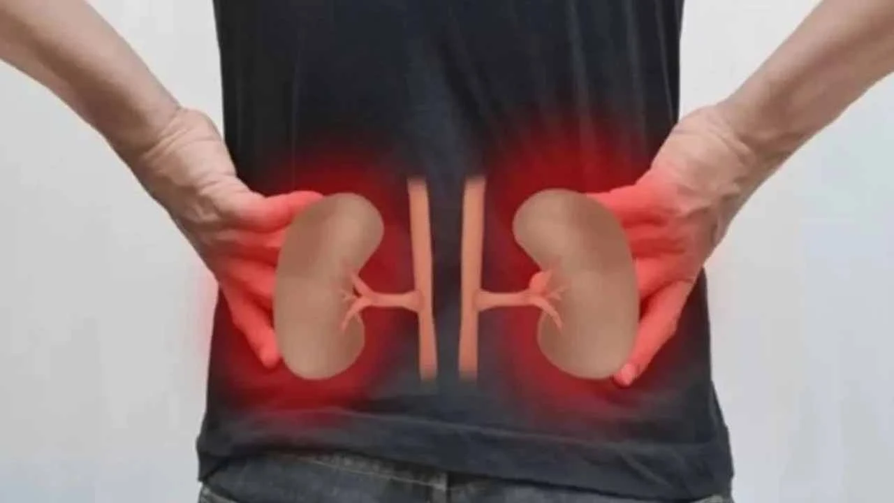 কিডনি নষ্টের ৬ লক্ষণ, কখন সতর্ক হবেন