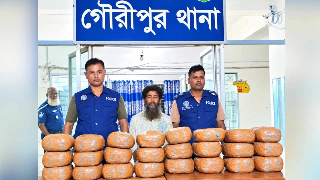 গৌরীপুরে বসতঘর থেকে ৪৮ কেজি গাঁজা উদ্ধার, গ্রেপ্তার ১