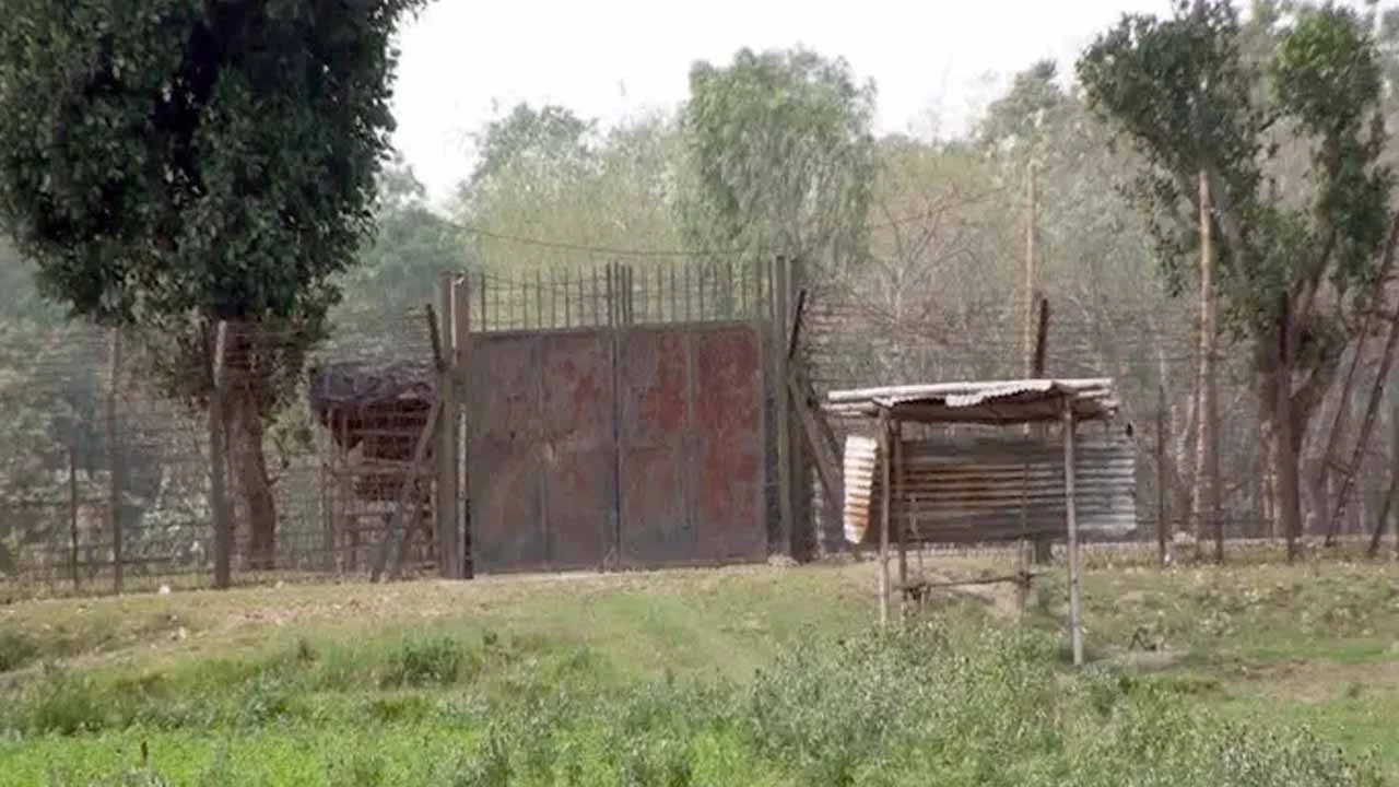 লালমনিরহাট সীমান্তে ১২ জনকে পুশইনের চেষ্টা
