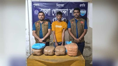 নোয়াখালীতে সিএনজিতে ১১ কেজি গাঁজা, গ্রেপ্তার ১