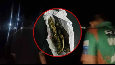 ইবিতে গাঁজা-সহ হাতেনাতে ধরা দুই শিক্ষার্থী