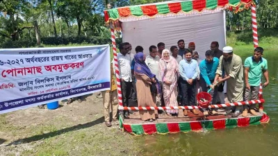কিশোরগঞ্জে ১৯ টি জলাশয়ে ২৫০ কেজি পোনামাছ অবমুক্তকরণ