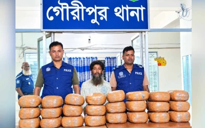 গৌরীপুরে বসতঘর থেকে ৪৮ কেজি গাঁজা উদ্ধার, গ্রেপ্তার ১