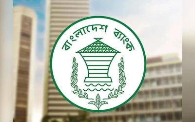 সাইবার হামলার শঙ্কায় বন্ধ বাংলাদেশ ব্যাংকের ওয়েবসাইট