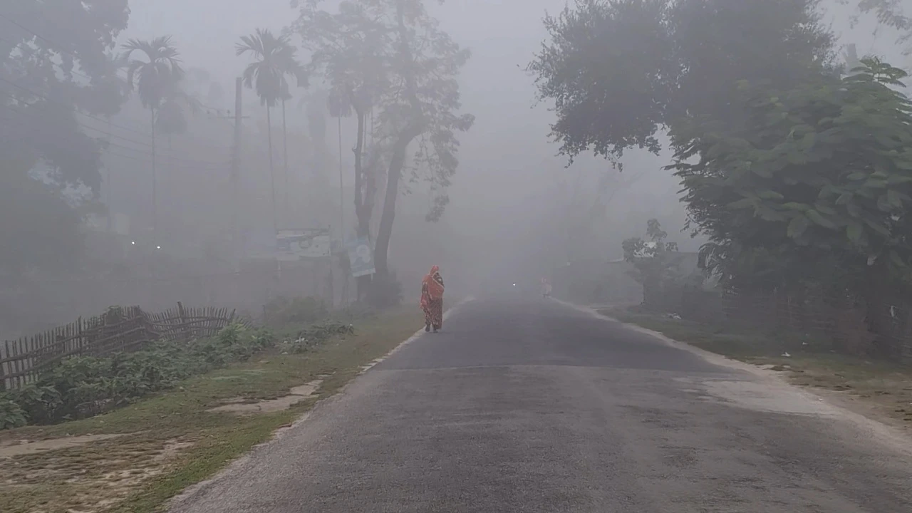 অধিকাংশ ক্ষেত্রে আপনিই আপনার ভাগ্যনিয়ন্ত্রক।