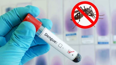 ডেঙ্গু জ্বরে আক্রান্ত হয়ে এক দিনে হাসপাতালে ভর্তির রেকর্ড