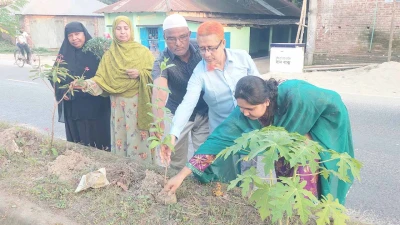 গোবিন্দ নগর মুন্সিরহাটে ডিভাইডারে দুই শতাধিক ফুল গাছ রোপণ