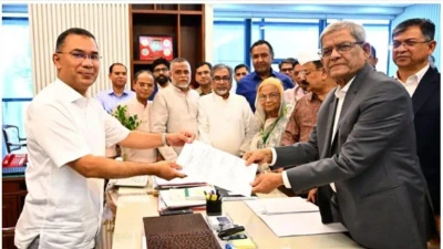 রাষ্ট্রপতি পদে মির্জা ফখরুলকেই বেছে নিল বিএনপি