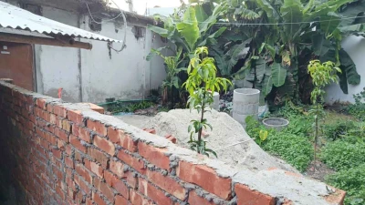 মহাদেবপুরে আদালতের নিষেধাজ্ঞা অমান্য করে জমি দখলের পাঁয়তারা