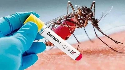 ডেঙ্গুতে ২৪ ঘণ্টায় ৩ জনের মৃত্যু, হাসপাতালে ভর্তি ৭৫৩