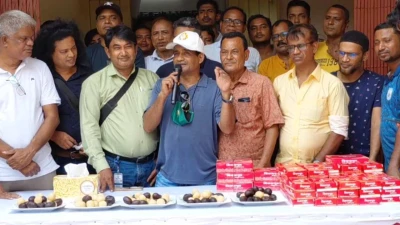 মির্জা ফখরুল রাষ্ট্রপতি হওয়ায় ঠাকুরগাঁওয়ে সাংবাদিকদের মিষ্টি বিতরন