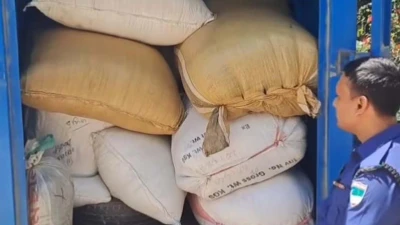 ‘ফিল্মি স্টাইলে’ পাচার হাওয়া কোটি টাকা মূল্যের চুল উদ্ধার
