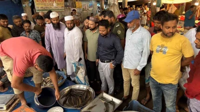 ভাণ্ডারিয়ায় মাছে ক্ষতিকারক রং মেশানো: তিন ব্যবসায়ীকে জরিমানা
